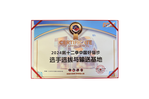 in学院荣获2024中国好猫步选手选拔与输送基地